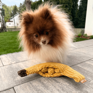 PSYKRYJMNIE Zabawka węchowa - banan