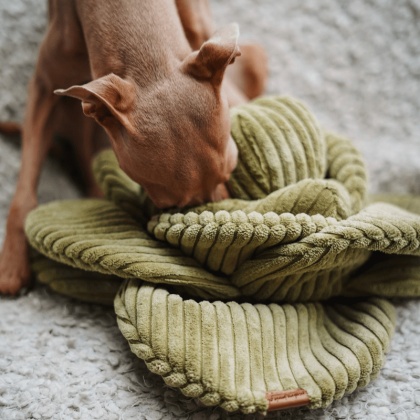 PSYKRYJMNIE Zabawka węchowa kapusta jasna zieleń