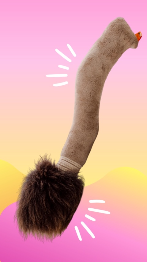 Broom - magiczna miotła z owczym futrem i piszczałką