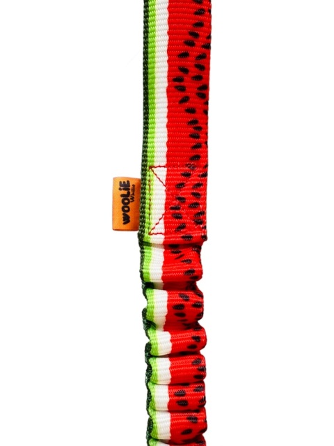 Stwórz swój szarpak pleciony dla małych piesków