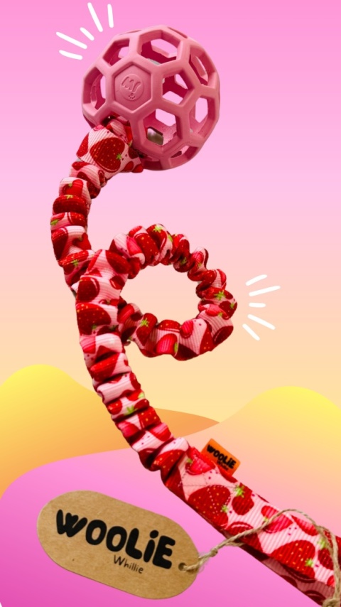 Stwórz swoją piłkę ażurową JW PET z rączką