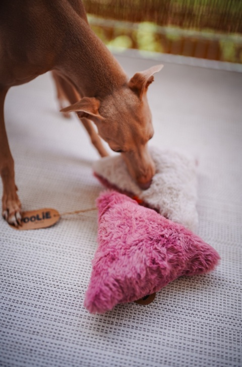 Troolie - zabawka z niespodzianką