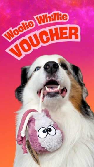 VOUCHER (50-500 zł)