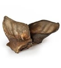 BALTO Ucho dzika 2 szt.