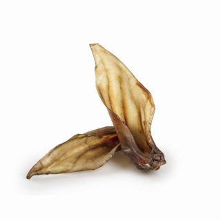 BALTO Ucho jelenia 1 szt.