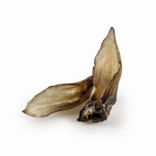 BALTO Ucho sarny 2 szt.