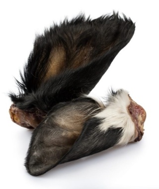 BALTO Ucho wołowe z futrem 1 szt.