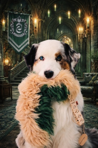 Stwórz swój szarpak pleciony z Doogwartu SUPER OKAZJA