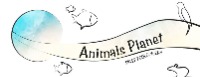 ANIMALS PLANET