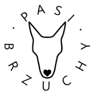 PASIBRZUCHY