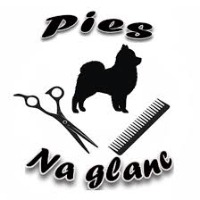 PIES NA GLANC